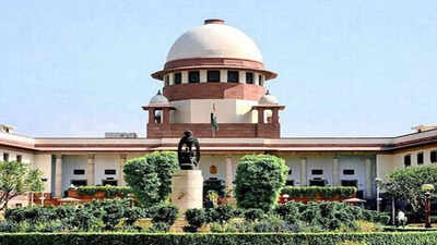 ‘Criminal cases can’t have lifespan of turtle’: Supreme Court on activist’s trial delay
