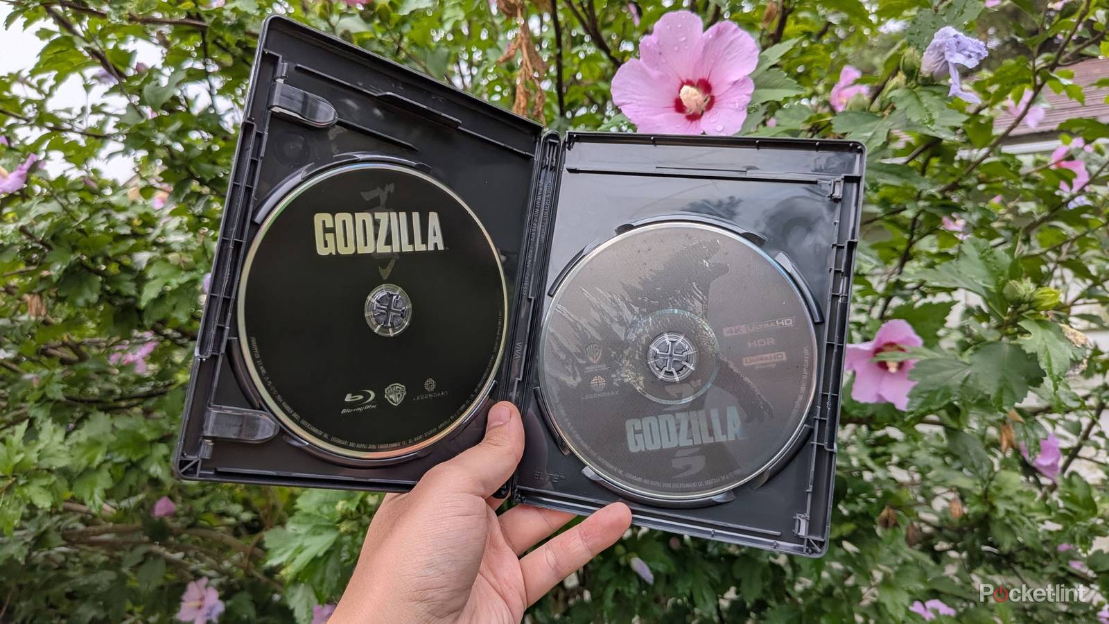 These premium 4K discs are unplayable in certain setups