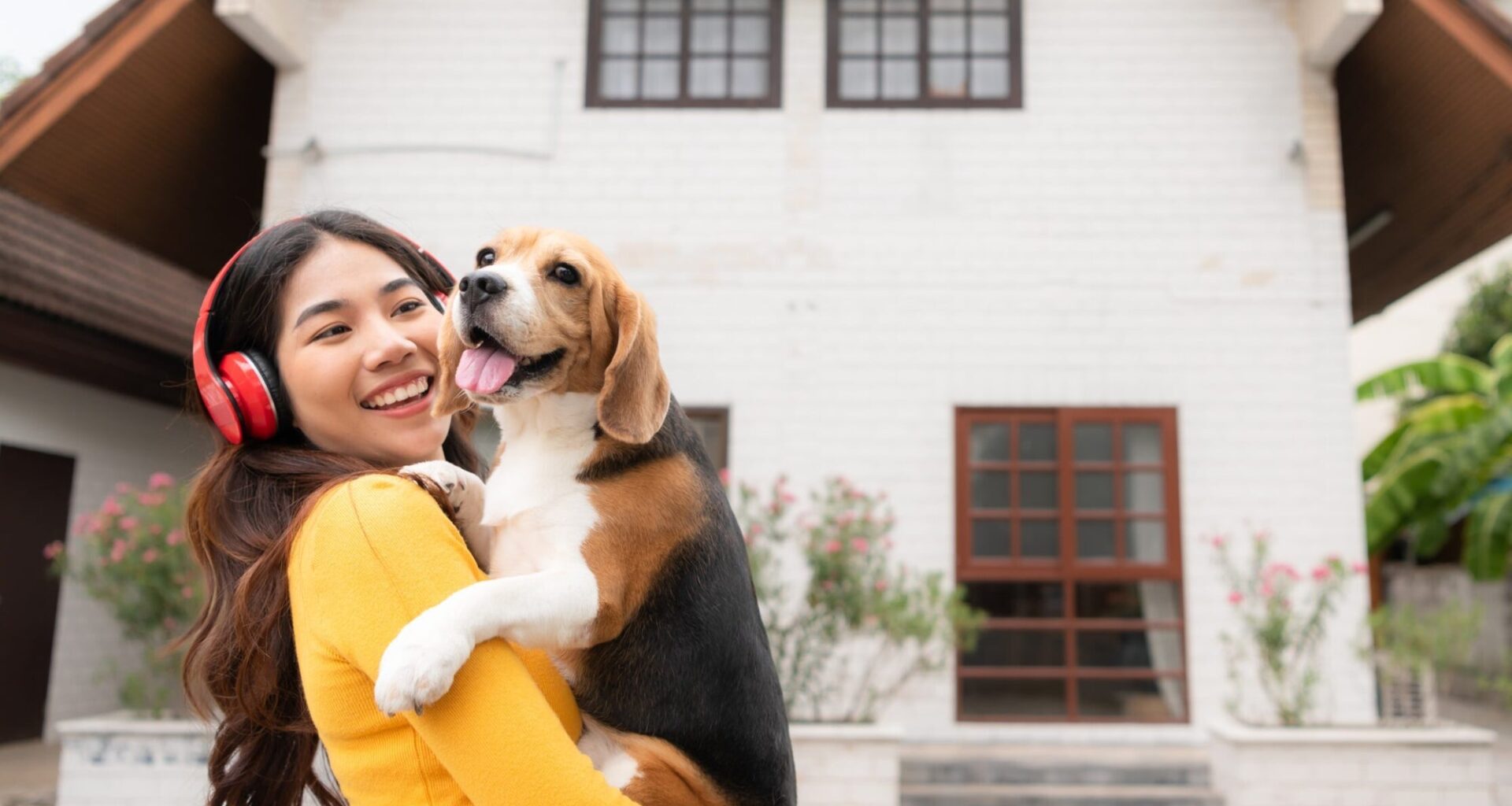 Genetically engineered beagles could bring relief to millions of dog allergy sufferers
