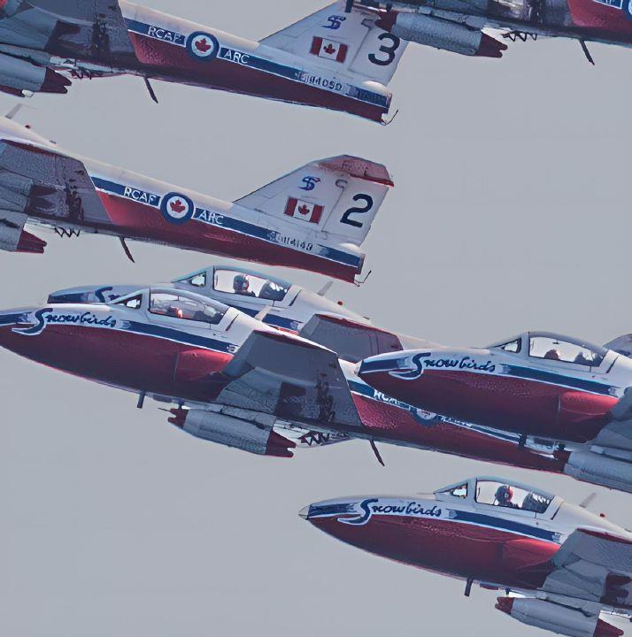 PHOTOS: Snowbirds’ last hurrah over White Rock draws thousands