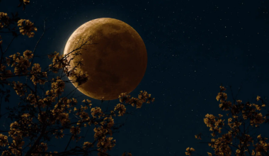 'Sturgeon Moon' to bring partial lunar eclipse to Ontario this month
