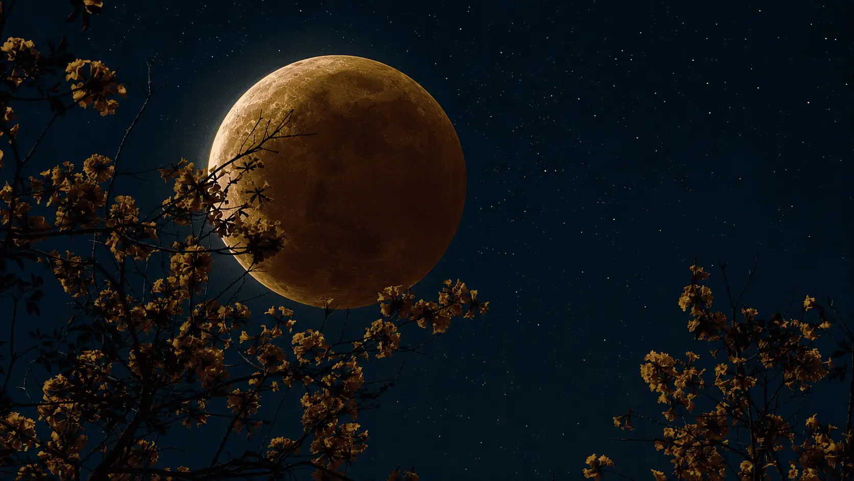 'Sturgeon Moon' to bring partial lunar eclipse to Ontario this month