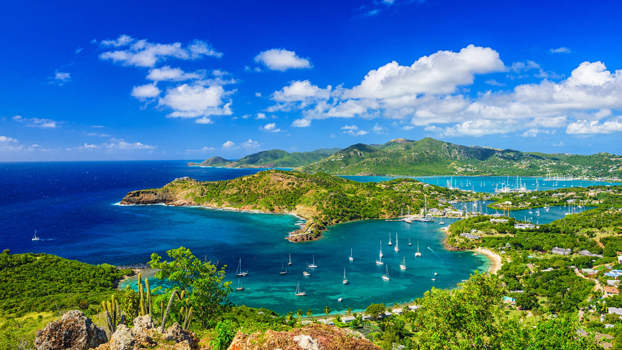 The Redonda restoration program started in 2016 with early work concentrating on eradicating invasive species that had ravaged the island’s ecosystem. The Redonda restoration program started in 2016 with early work concentrating on eradicating invasive species that had ravaged the island’s ecosystem.