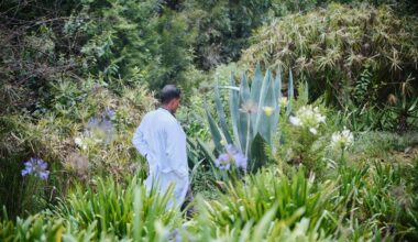 African Traditional Medicine Day 2026: from research to reach, advancing health for all
