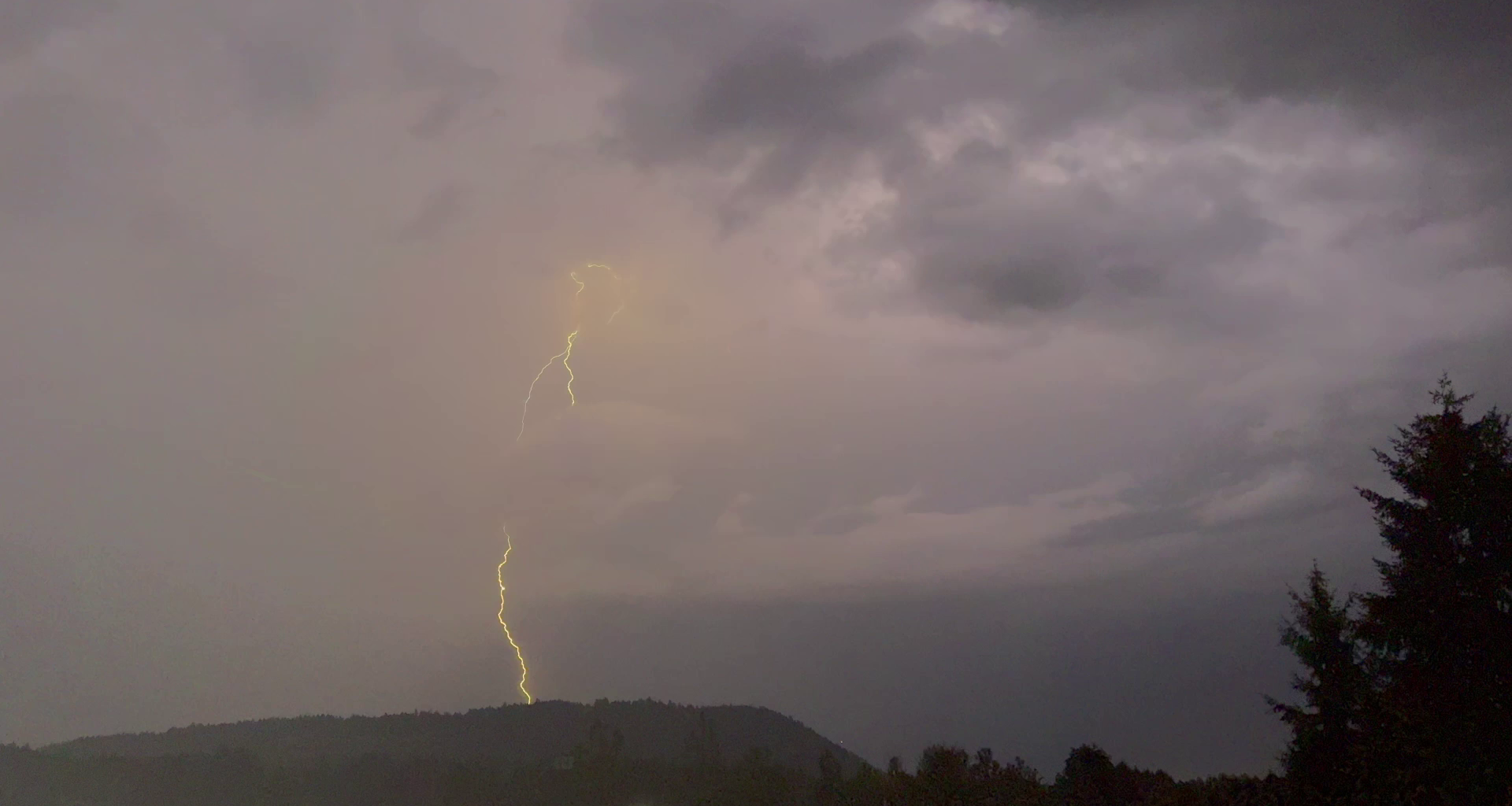 Lightning storm sparks 11 new wildfires on Vancouver Island, more could emerge in coming days