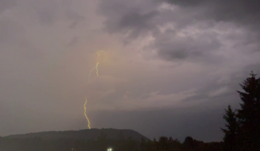 Lightning storm sparks 11 new wildfires on Vancouver Island, more could emerge in coming days