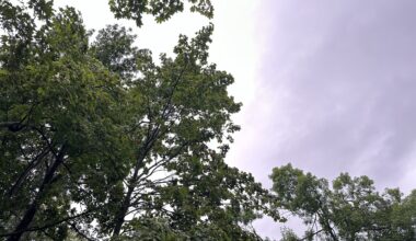 Montreal forecast calls for heat, rain and sunshine this week