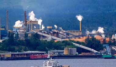 MP wants Ottawa to explore closed Crofton mill site for navy
