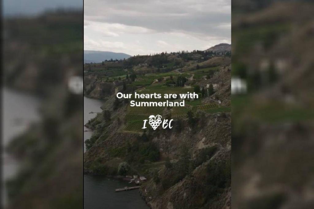 Summerland Strong: B.C. looks to support wildfire evacuees