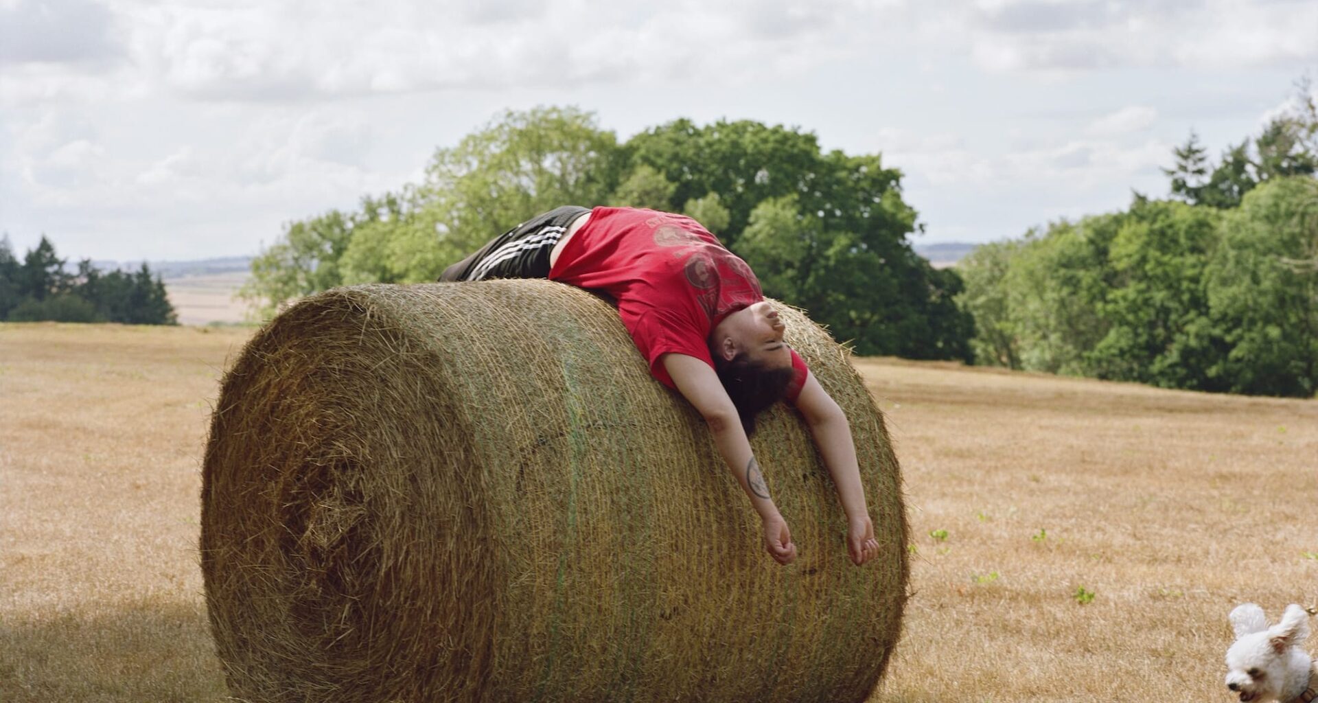 a photographic portrait of a young man in a field, laying on his back on top of a large hay bale, with a small white dog energetically running into the frame at the bottom right