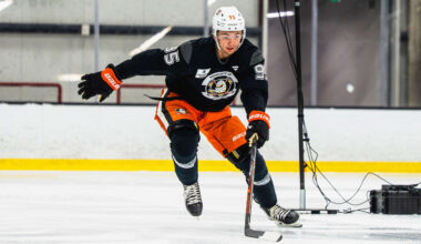 McQueen hoping for chance with Ducks after making good impression in AHL