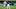 Houston Astros left fielder Yordan Alvarez and Texas Rangers shortstop Corey Seager