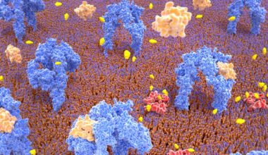 Some Pancreatic Cells Are Just One Genetic Tweak Away From Treating Diabetes