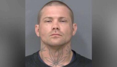 Man Charged in 71 Mississauga Vehicle Break-Ins