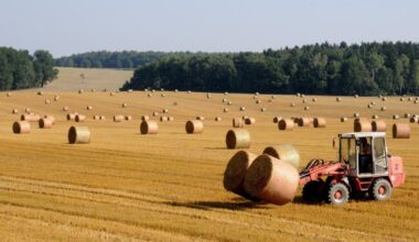 Northumberland urges farmers to seek mental health support
