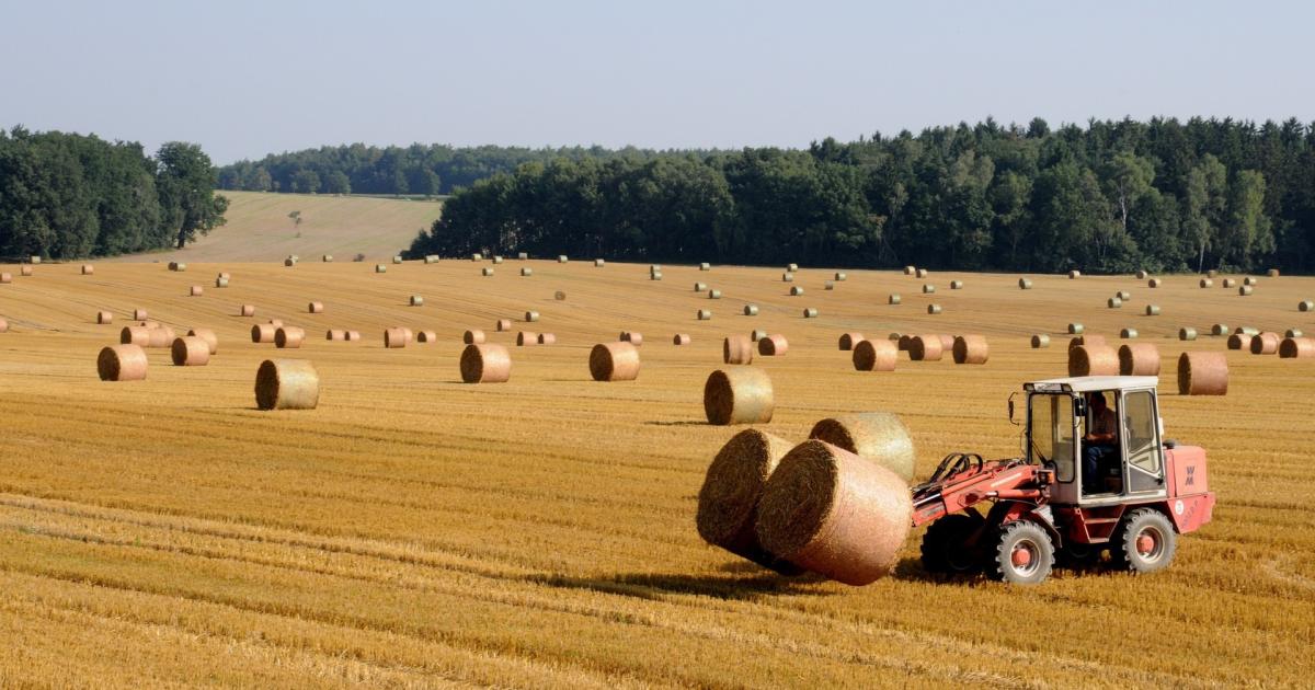 Northumberland urges farmers to seek mental health support