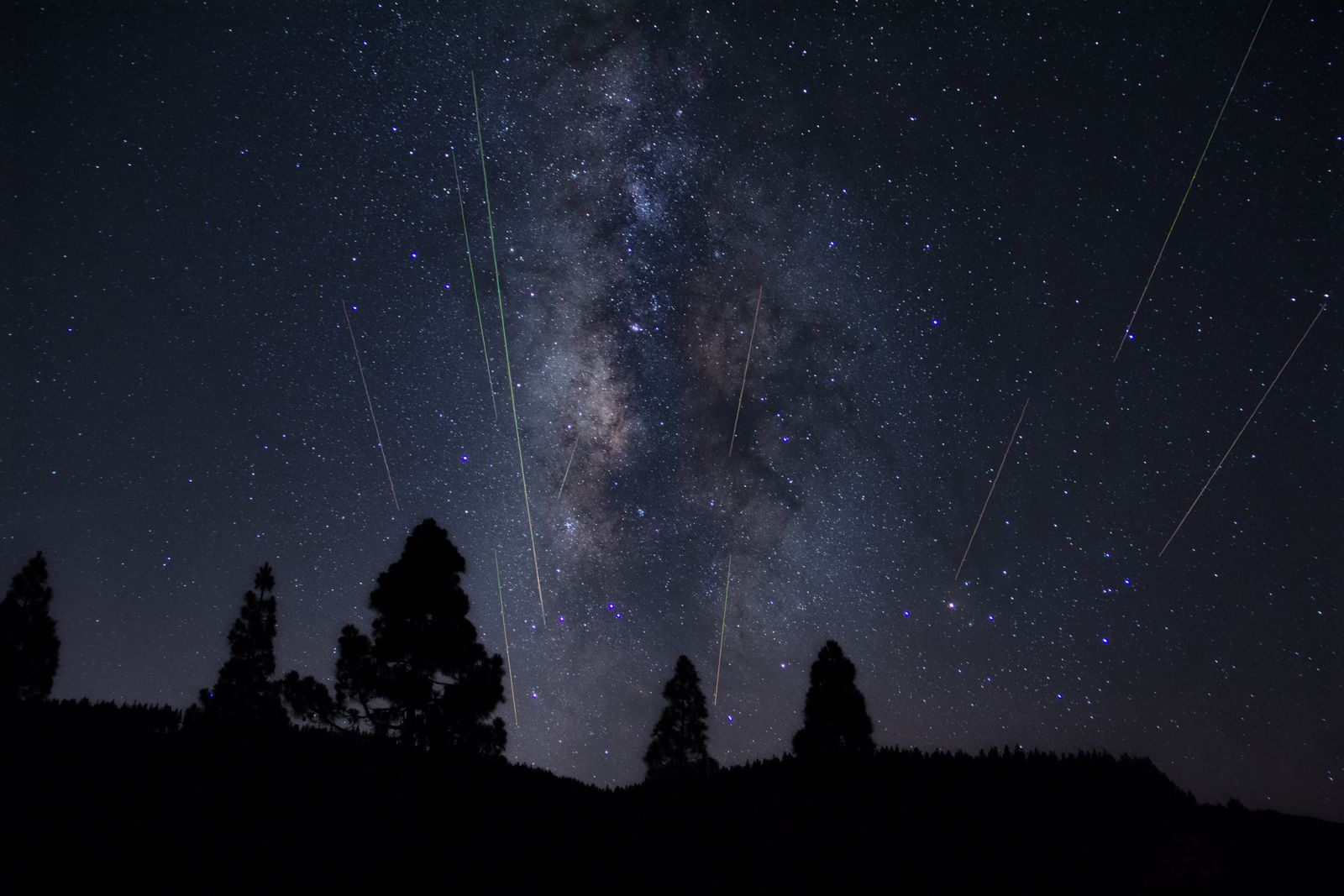 A meteor shower streaking past the Milky Way over the silhouettes of pine trees.
