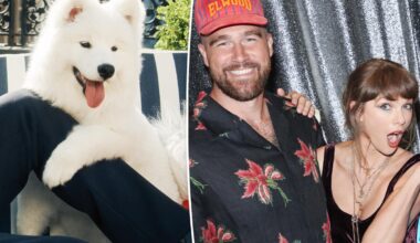 Taylor Swift and Travis Kelce's dog's name finally revealed