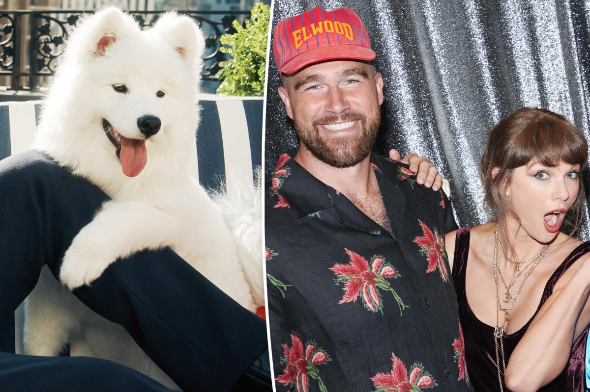 Taylor Swift and Travis Kelce's dog's name finally revealed