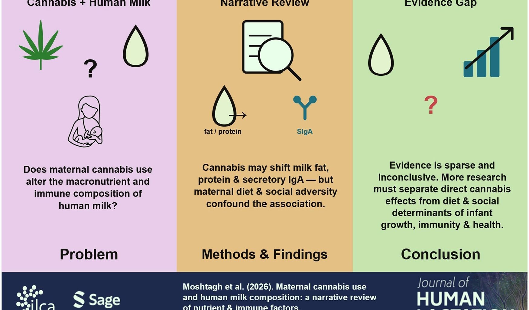 Nutritional Composition of Breastmilk in the Context of Maternal Diet and Cannabis Use: A Narrative Review