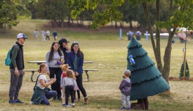 Branch out and explore nature at National Forest Week and fall events – City of Mississauga