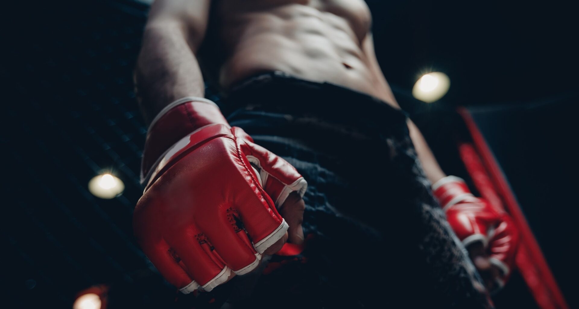 Study: Weigh-In to Fight Night: Dietary Strategies of Professional MMA Fighters. Image Credit: Parilov / Shutterstock
