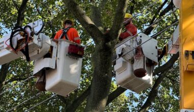 About 2,500 Torontonians remain without power as post-storm restoration continues
