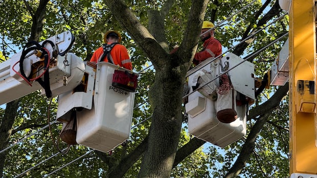 About 2,500 Torontonians remain without power as post-storm restoration continues