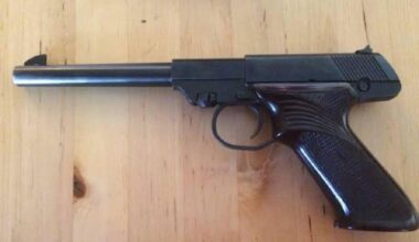 Man caught with gun from Surrey burglary gets 3 years