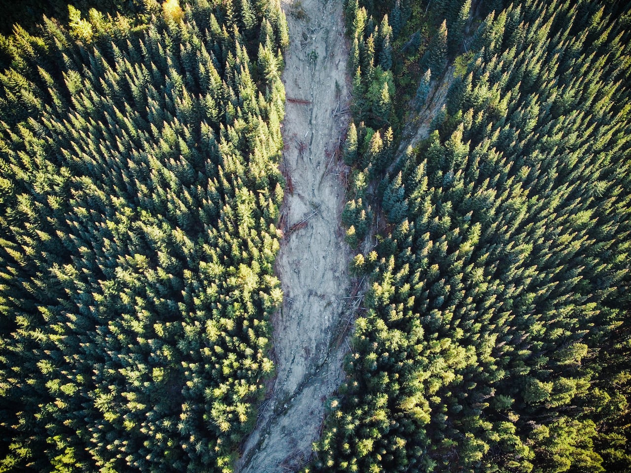 A landslide near a decomissioned logging road north of Pemberton, B.C. Taken Oct. 12, 2022.