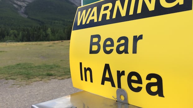 Woman injured in bear attack in Whistler backcountry