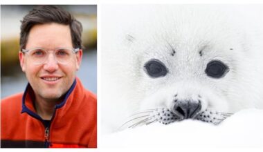 Picture perfect: N.L. photographer named Canadian wildlife photographer of the Year