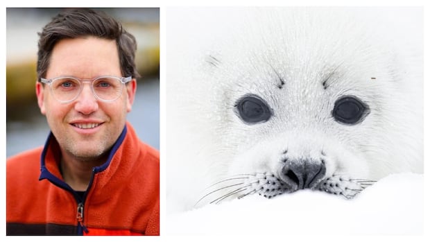 Picture perfect: N.L. photographer named Canadian wildlife photographer of the Year