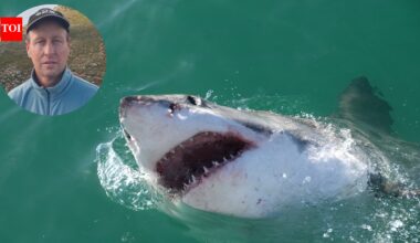 In 2021, ‘Air Jaws’ photographer Chris Fallows bought a South African farm with his wildlife-art earnings and combined land formed a 3,200-acre nature reserve | World News