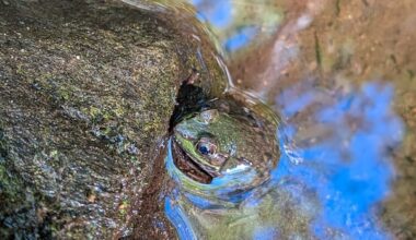 Leaping into September: Enjoy these photos from around New Brunswick