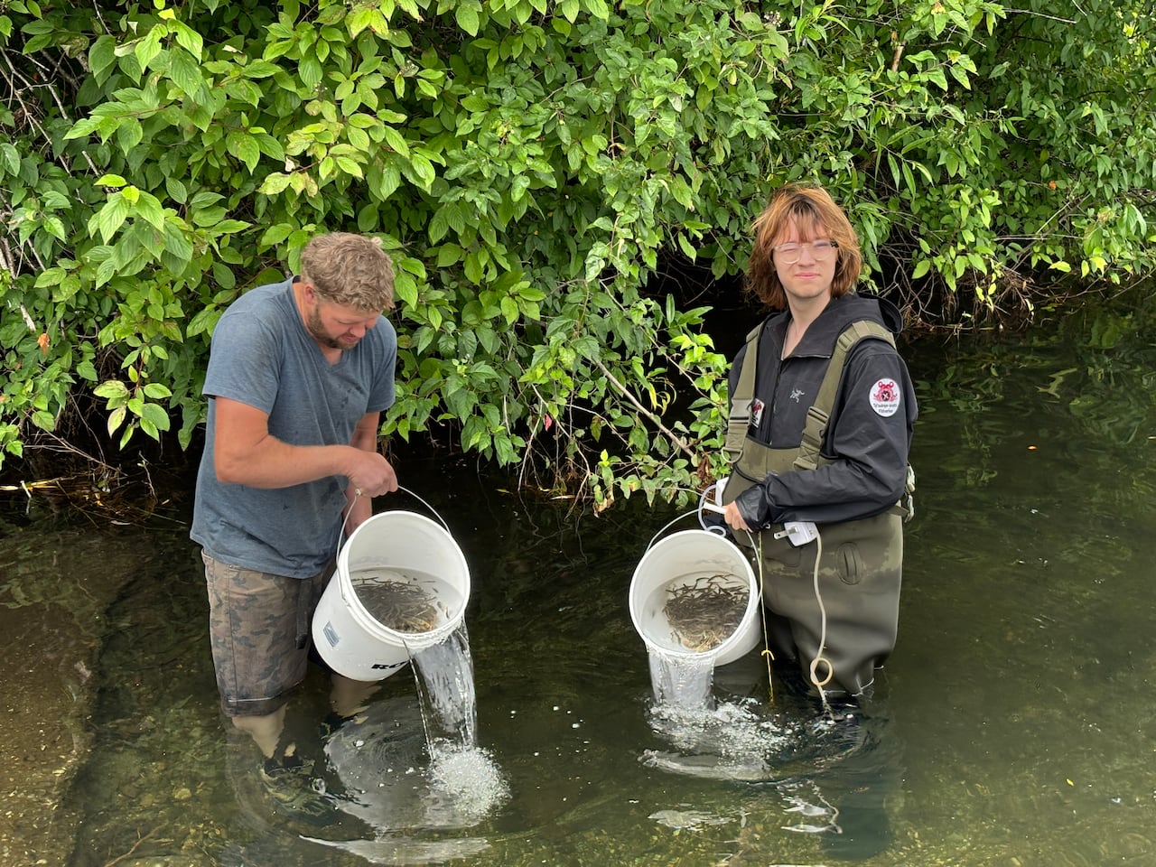 Ben Lorenson and Aivars Liepa Spence releasing rescued fry from Robertson River into Lake Cowichan.