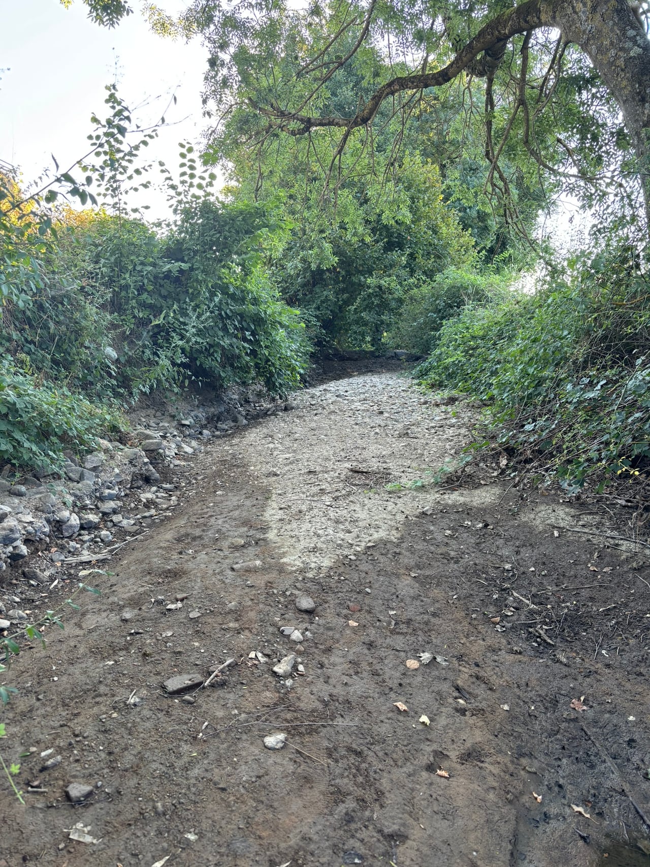 Dried out river in France. Looks damp but mostly dry, no running water.