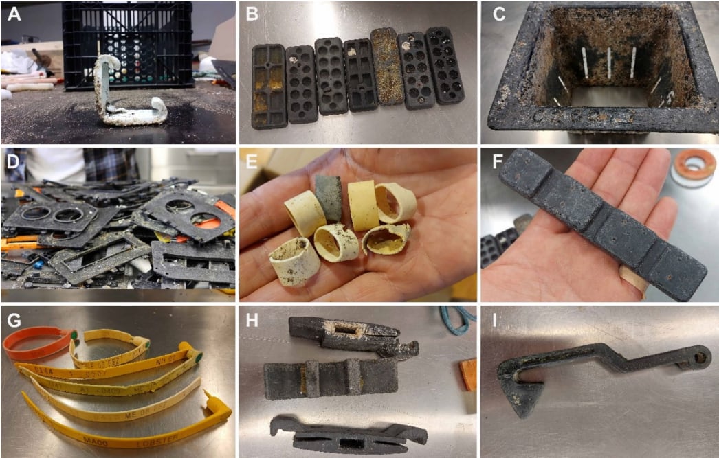 Different plastic debris that once part of the lobster fishing gear