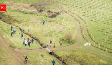 In 2021, a North Yorkshire estate began restoring 2,500 acres of intensively farmed land; four years later, 330,000 trees and 1,700+ species mark its comeback