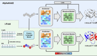 Enhancing protein structure prediction accuracy by prioritizing important residues using protein language models