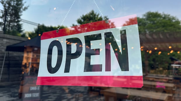 Canada's new tariffs: Are small businesses 'cannon fodder' in the trade war?
