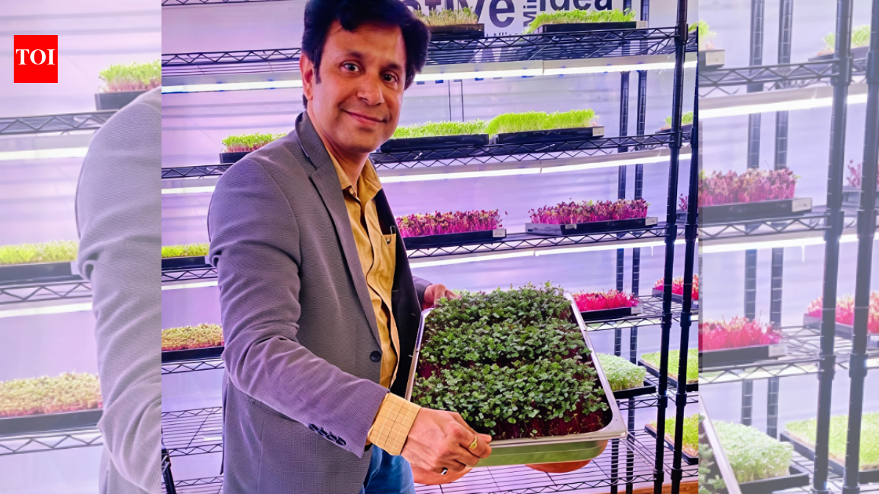 Meet Mohit Nijhawan: The microgreen guru who left his ₹90 lakh job and a sprawling 2-decade career to start an indoor farming business; today, it has a yearly turnover of ₹1.44 crore |