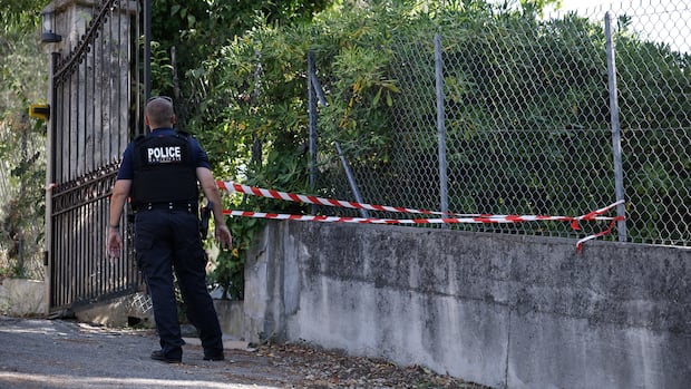 Recent art thefts appear to be inspired by 2025 Louvre heist, art crime experts say