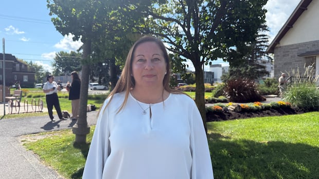 Mayors west of Montreal urge next Quebec government to finally revamp Highway 20