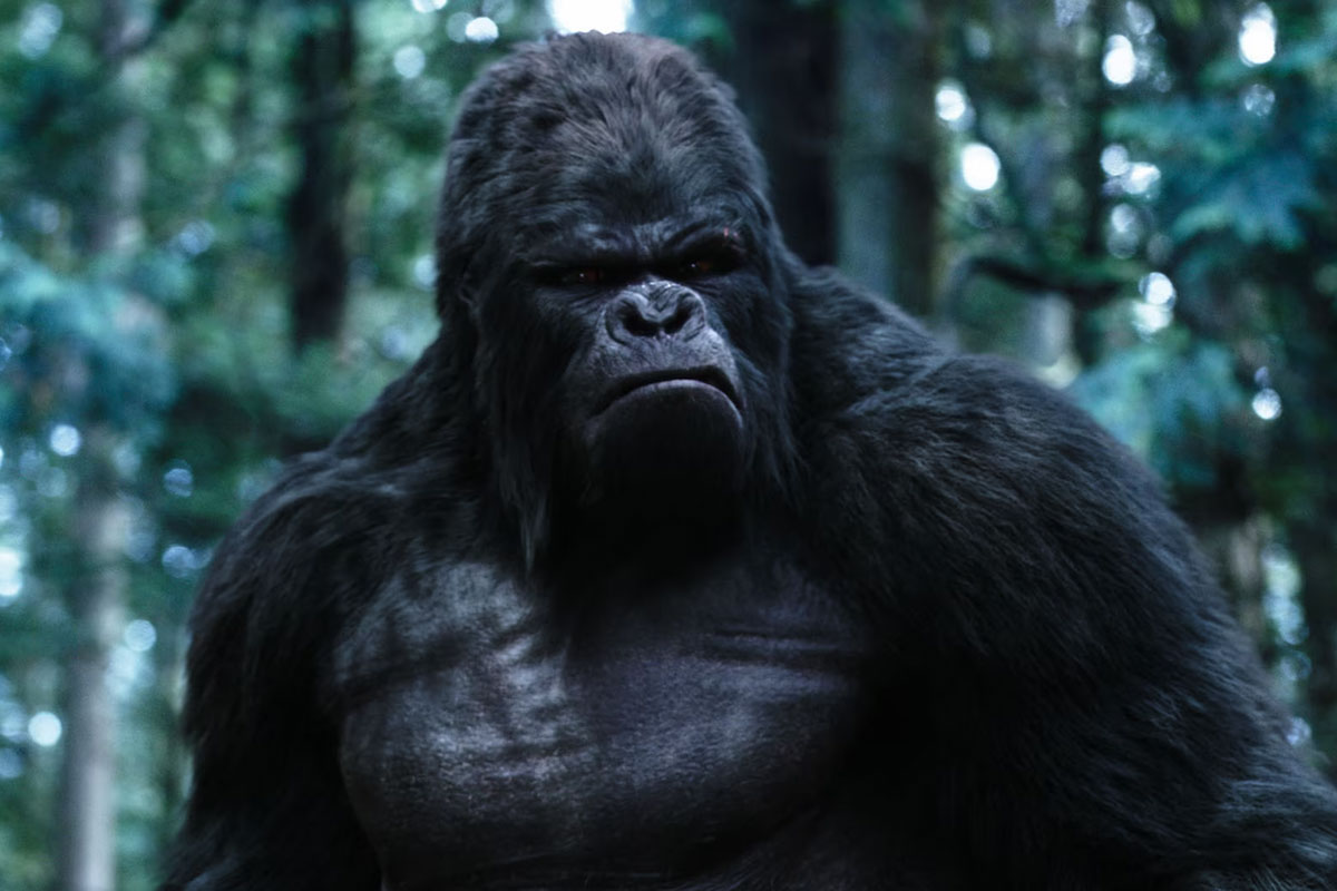 Set Photos: DCU's Gorilla Grodd Sings & Dances
