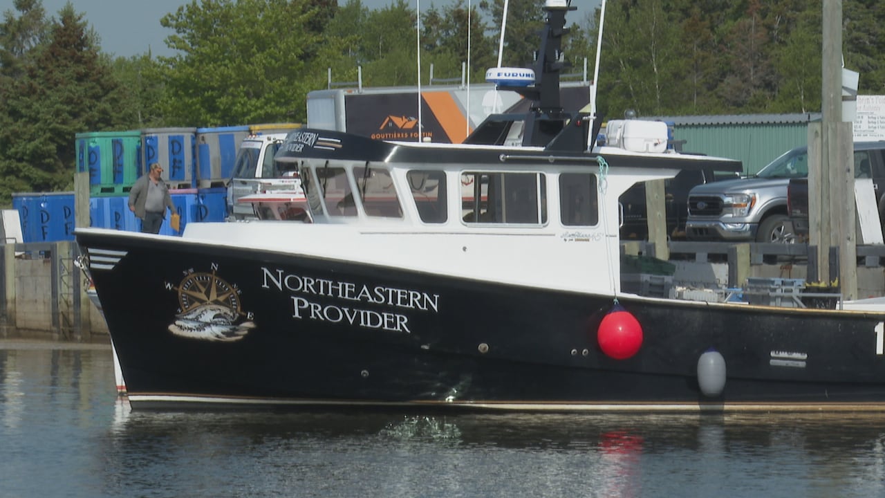 A boat with a black bottom, white cabin and round, red buoy hanging over the side, floating in still water with stacks of large blue storage bins and trucks on the jetty in the background.