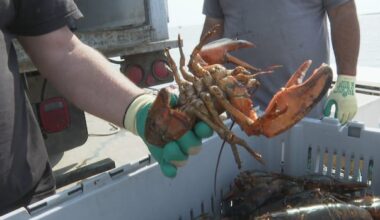 Soaring licence costs drive fishermen into questionable financing deals