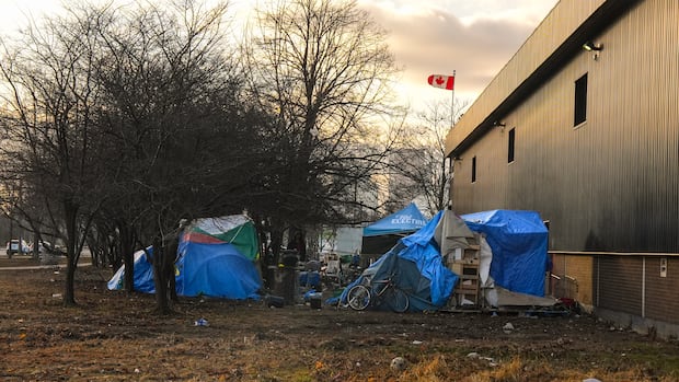 Homelessness on the rise in Ontario while province on track to spend less, report says