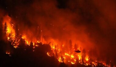 Wildfires, permafrost melt in Canada causing even more climate change, new study shows