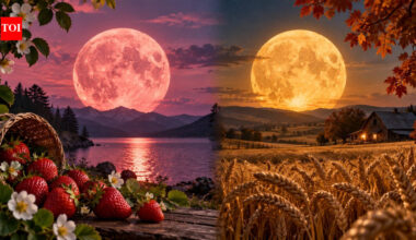 Strawberry Moon vs Harvest Moon: Why Every Full Moon Has a Different Name